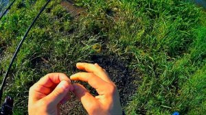 Рыбалка на Фидер, Река Северка, Половодье застало врасплох....