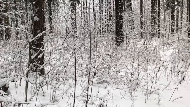 Муж в командировку, свекор время даром не терял. Истории из жизни. Аудио рассказы. Любовные истории