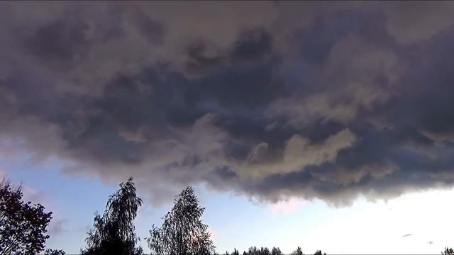 Свобода + натура. Футаж. смотреть онлайн