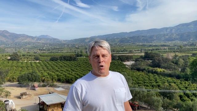 Sonnet’s Garden Sonnet 30 смотреть онлайн