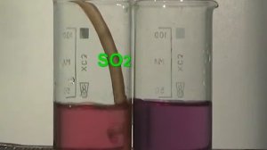 Растворение оксида серы (IV) в воде