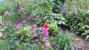 11 сентября 2022 года доброе пасмурное утро!