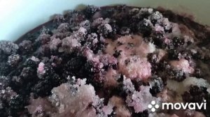 ВАРЕНЬЕ ИЗ ЕЖЕВИКИ , ГУСТОЕ И ВКУСНОЕ #ежевика #варенье из ежевики #մոշիմուրաբա /ՄՈՇԻ ՄՈՒՐԱԲԱ #mosh