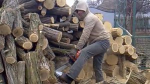 Stihl ms 361 Stihl ms 441