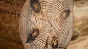 Рубленные дома. Трещины в бревне