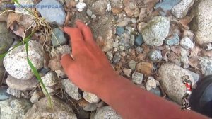 При желании какие только камни можно найти