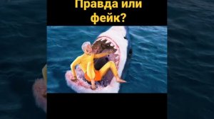 А4 СЪЕЛА АКУЛА ВО ВРЕМЯ ОТДЫХА?!А4 НОВОСТИ