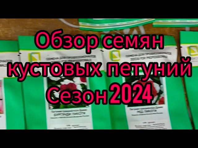 Обзор семян кустовых петуний на  рассадный сезон 2024 года