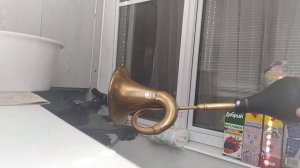 (Клаксон латунью для автомобилей ретро)