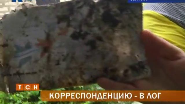 В Кунгуре почтальон выбросила свежую корреспонденцию в лог смотреть онлайн