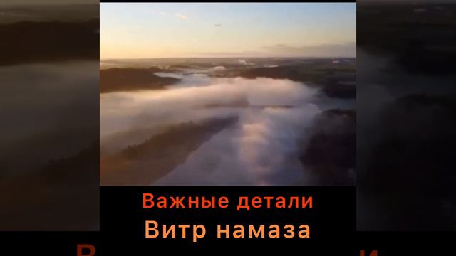 Важные детали Витр намаза. (Когда читать, как читать) смотреть онлайн