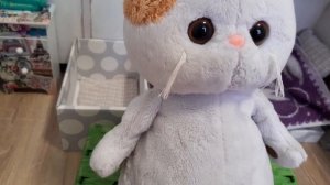 Басики! Знакомство!