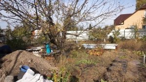 Бетонируем перекрытие погреба.