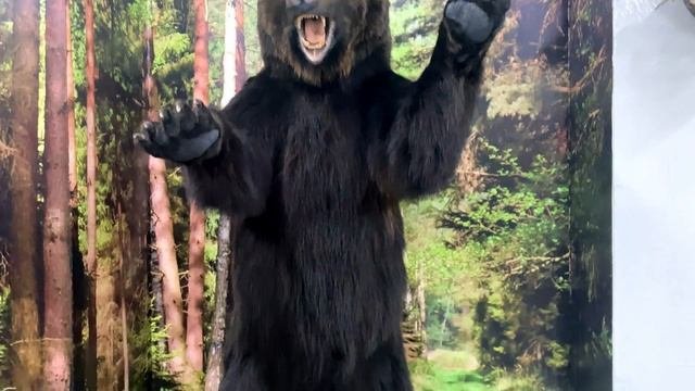 Свободный - другой взгляд. Амурская область.