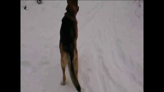 ЗИМНИЕ ГРЁЗЫ смотреть онлайн