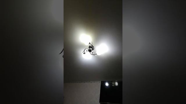 Включил свет а тут такое