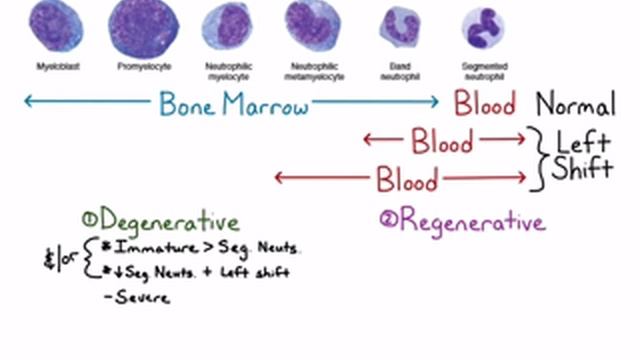 Left Shift смотреть онлайн