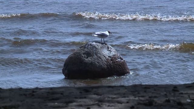 ОТРАЖЕНИЯ с Павлом Скучасом