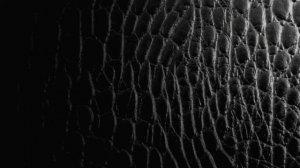 АСМР звук кожи.Кожаная куртка.Скрип|ASMR sound of leather.Leather jacket.The creak of the leather