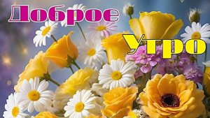 Доброе утро💖 Чудесного настроения всем😊💝