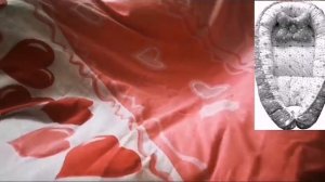 ?|как сделать кокон для кукол реборн? |✨