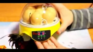 Китайский мини инкубатора 7 egg