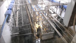 Асеньевское 2016