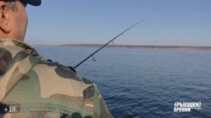 За судаком по Волге. Выбор лодки для рыбалки. Прогресс 4 на двух Вихрях впечатления от лодки.