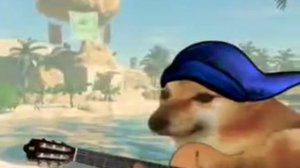 Чимп играет фламенко