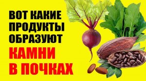 Эти Продукты Образуют Оксалатные Камни В Почках. Щавелевая Кислота