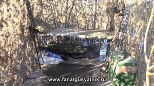 Охота на гуся и утку на болоте. Весна 2014