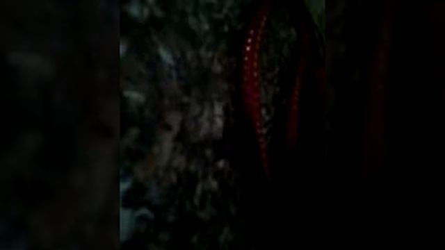 Marvari git bani bare raman mati jay (gayak pukhraj barupal смотреть онлайн