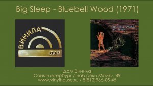 1 Группа 1 Альбом ● Big Sleep - Bluebell Wood (1971)
