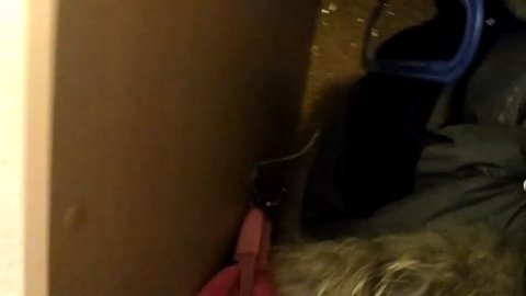 Вешалка шкаф в прихожей для хрущевки своими руками