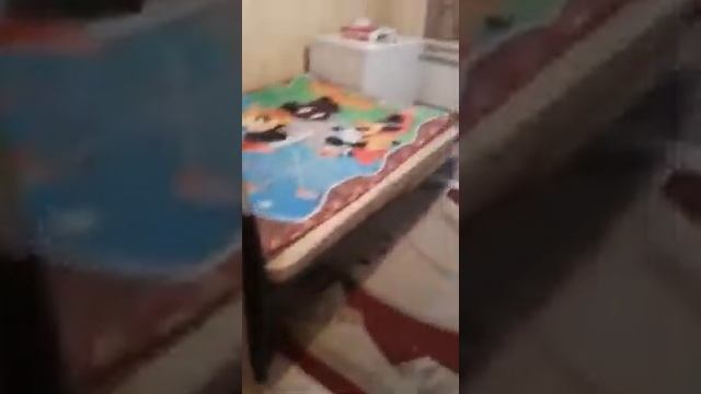 косшыгулулы 24 дробь 1 смотреть онлайн