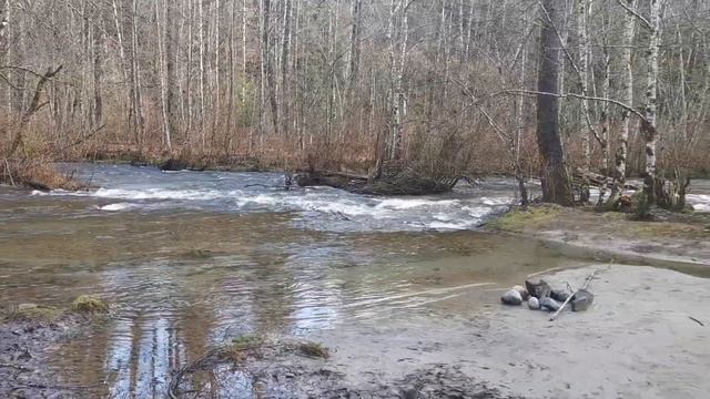 Природа возле реки Коквитлам. Гоночная трасса Model Racing Club смотреть онлайн