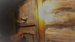 "УКРЫЛСЯ В ЛЕСНОЙ ИЗБЕ" НАШЁЛ… СКЛАД ТРОСОВ СССР! ВСЁ ПОШЛО НЕ ПО ПЛАНУ