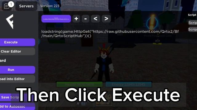 How to put script in Fluxus Executor ??