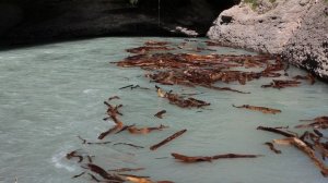 Водоворот на реке Аксу.