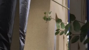Покраска сип дома жидкой пробкой