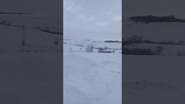 Край деревни. А дома куда делись? Как вымирает село смотреть онлайн