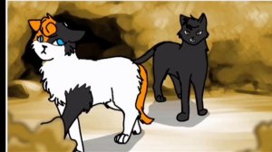 реакция на черную ночь сью. ? Коты-воители #котывоители #реакциянасьюх #сьюхи #смех #кв