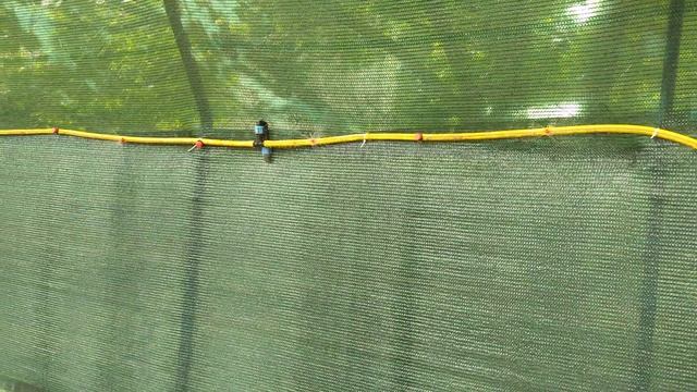 12июня 2018 Поливаем крупнолистные гортензии. смотреть онлайн