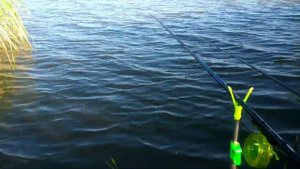 Ловля ЛИНЯ и КАРАСЯ на УДОЧКУ. Рыбалка 2020 с НОЧЕВКОЙ!ПРИКОЛЫ на РЫБАЛКЕ!