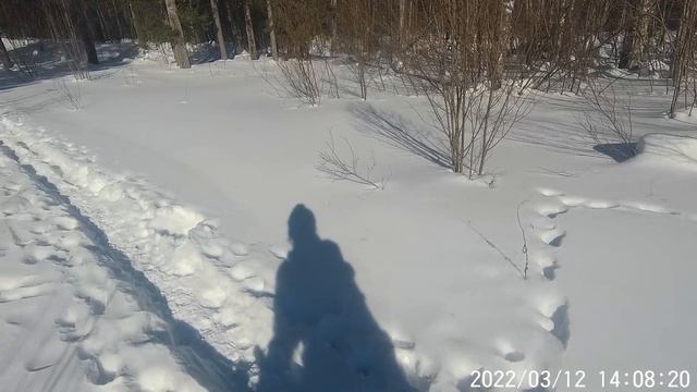 12-марта-2022; Петрозаводск, Велосипед: До развилки Орзега, Педагог, Гурвич