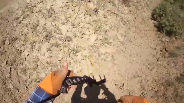 Рогаткамен балық аулау. Улкен амурлар және сазан балығы#fishing