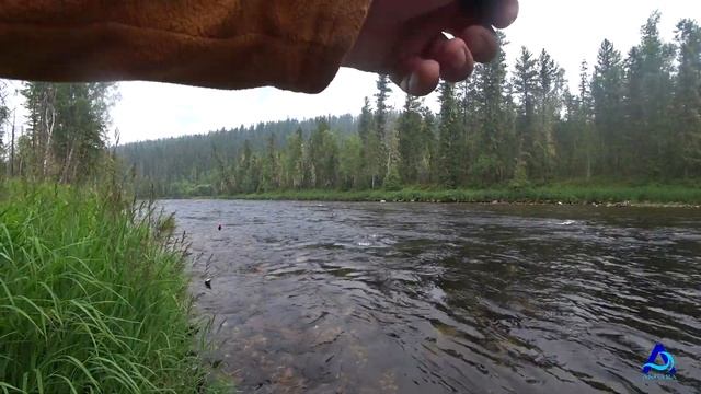 Ночь в тайге. Ловля хариуса. День рыбака. Часть 2. смотреть онлайн