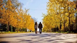 ВИА Чаривни гитары Мне теперь всё равно