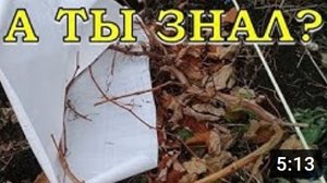 Как правильно укрыть ВИНОГРАД на зиму????