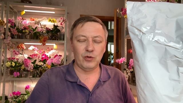 новая орхидея блаблакаром РАСПАКОВКА и обзор шикарной орхидеи Leco Sphinx